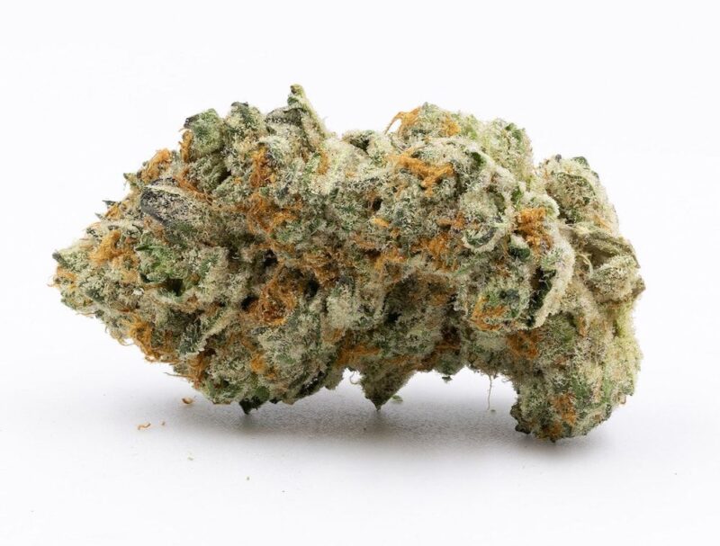 Lemon Cane Weed - Image 2