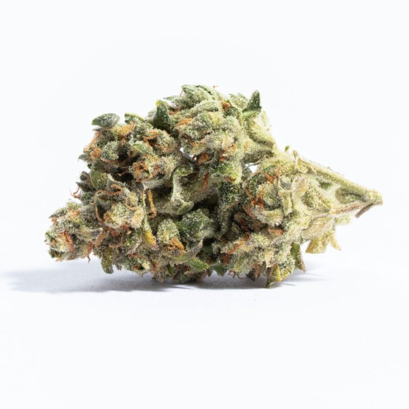 Lemon Cane Weed - Image 3