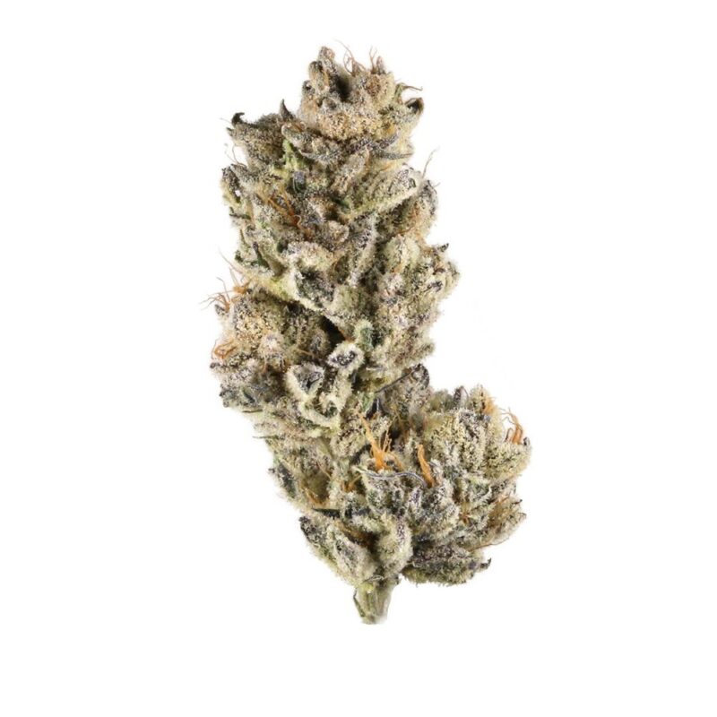 Purple Punch Weed - Image 2