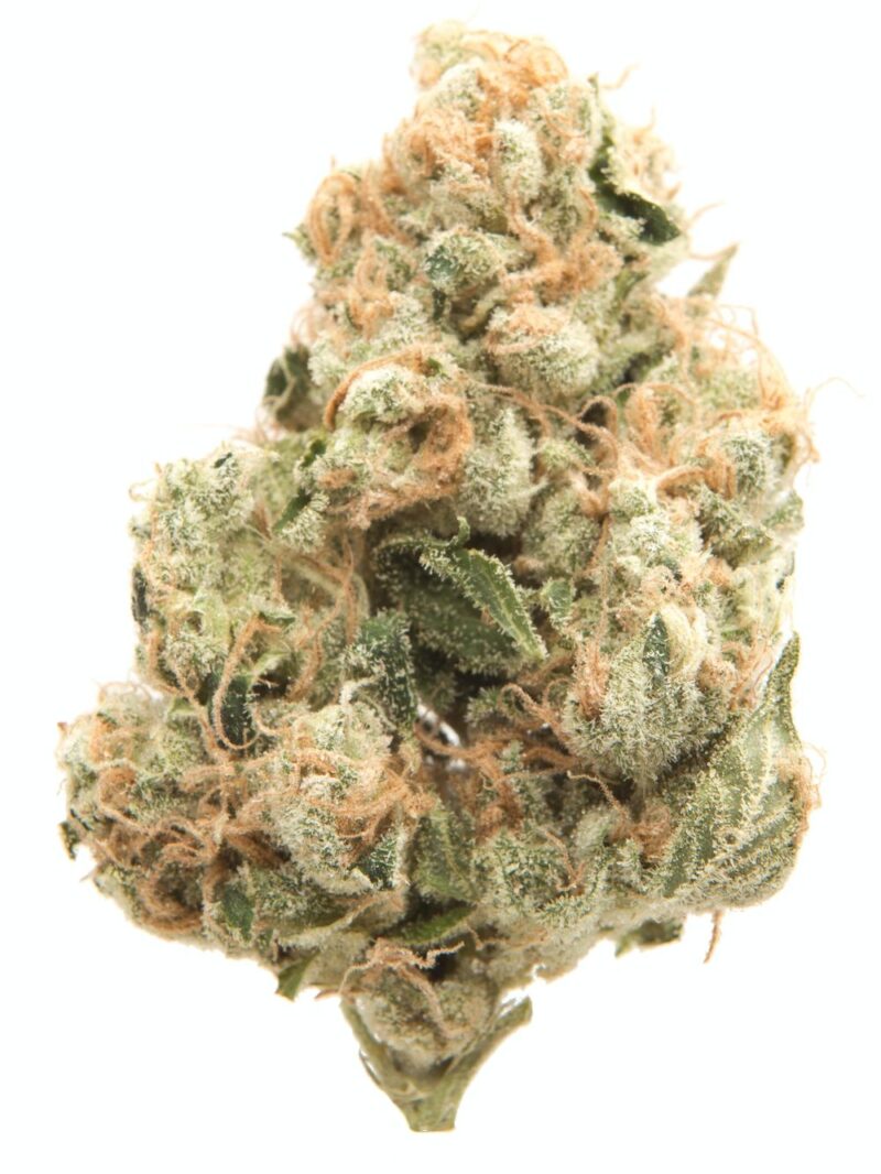 Raspberry Diesel Weed - Image 5