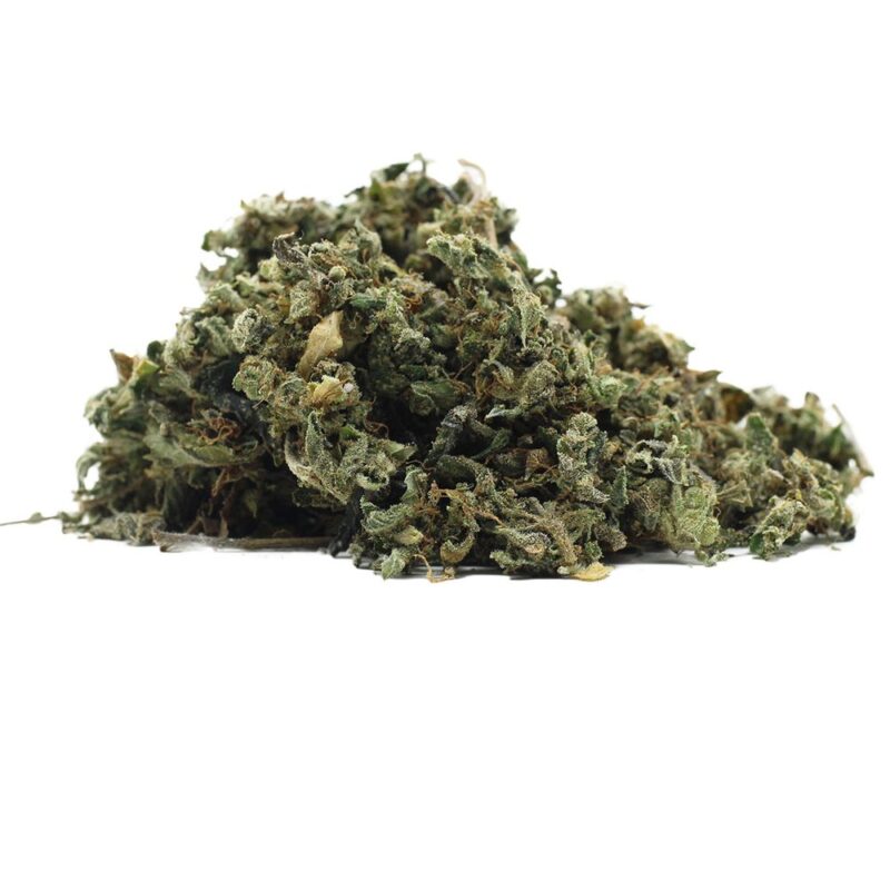 Single Strain Premium Shake - Image 2