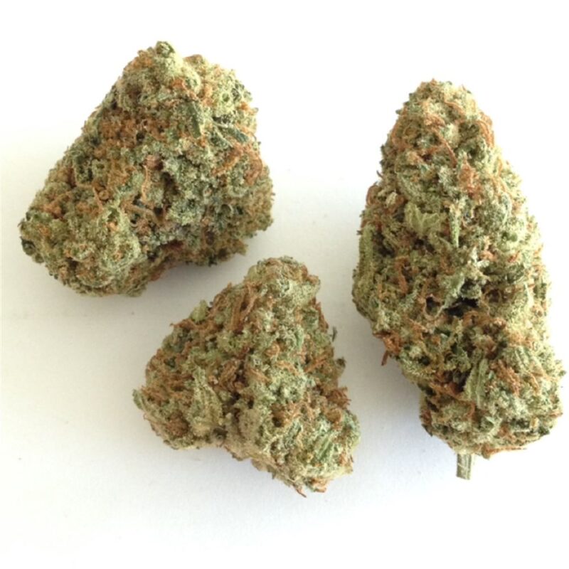 MadBudz Citrus Punch Weed