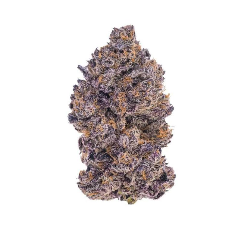 MadBudz Grand Daddy Purple Weed