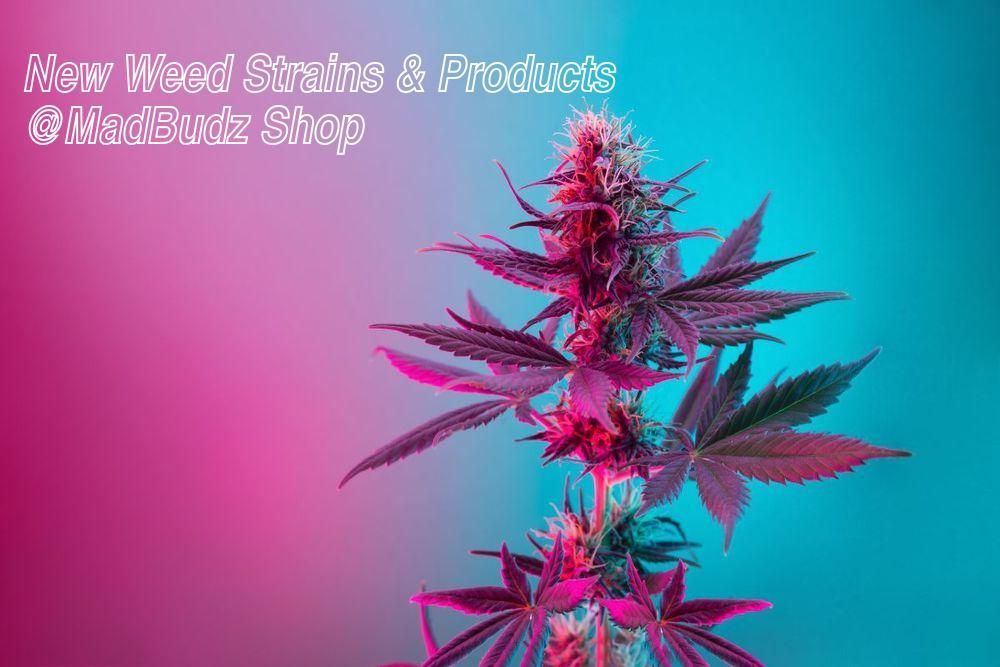 MadBudz News Autumn New Products