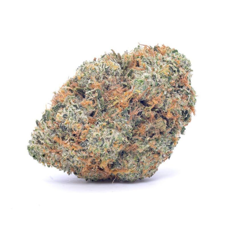 MadBudz Paradise Circus Weed