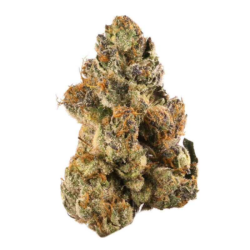 Stardawg Weed Strain