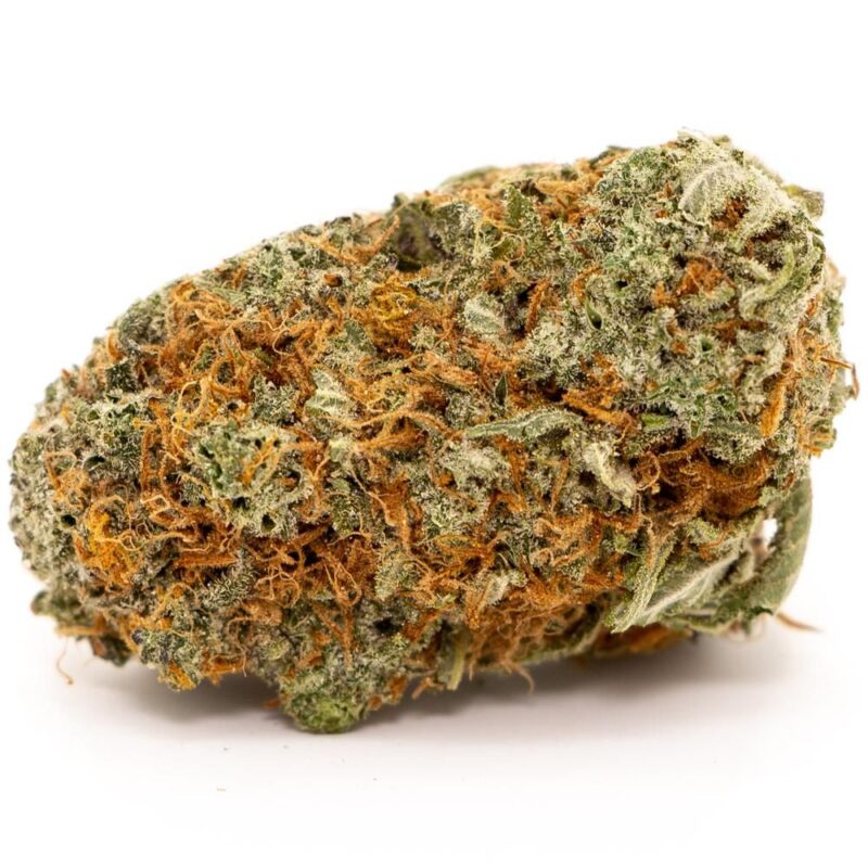 Stardawg Weed Strain