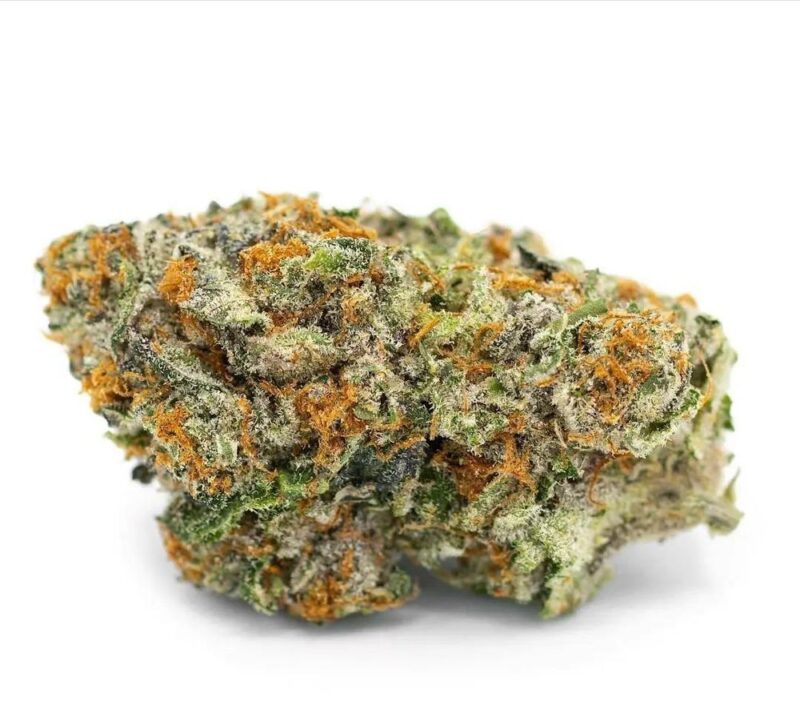 Stardawg Weed Strain