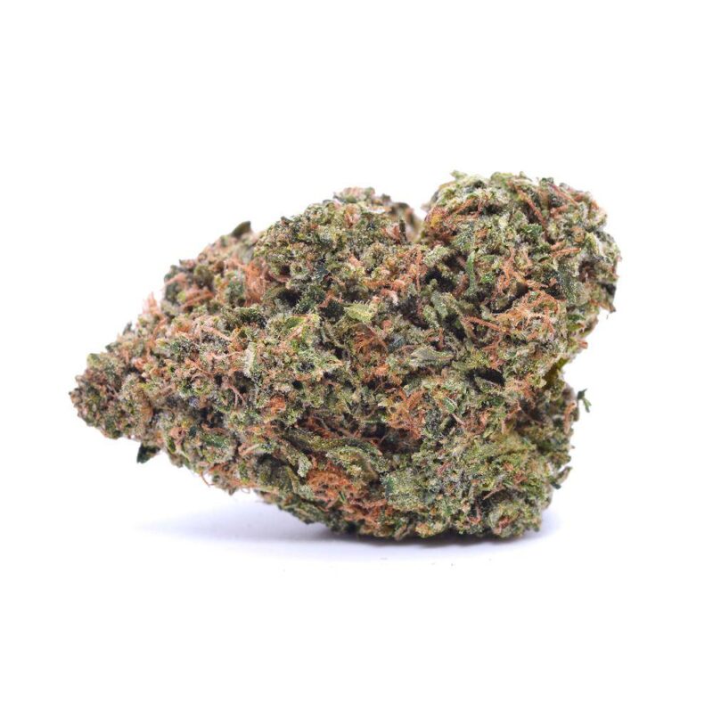 MadBudz Tropicanna Poison Weed