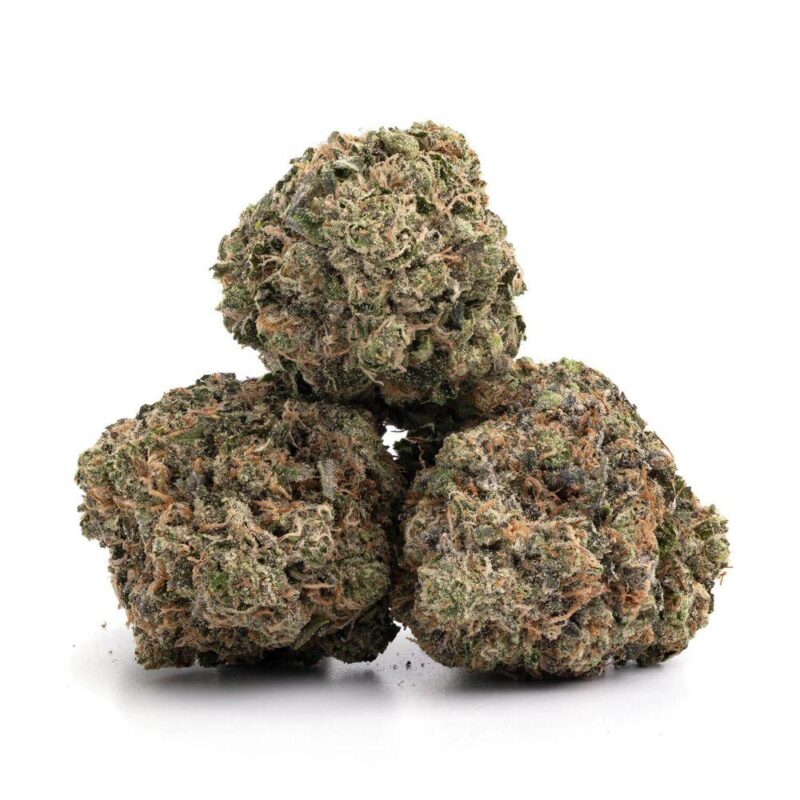 MadBudz Tropicanna Poison Weed