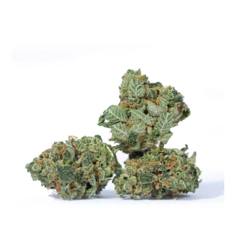 MadBudz White Rhino Weed